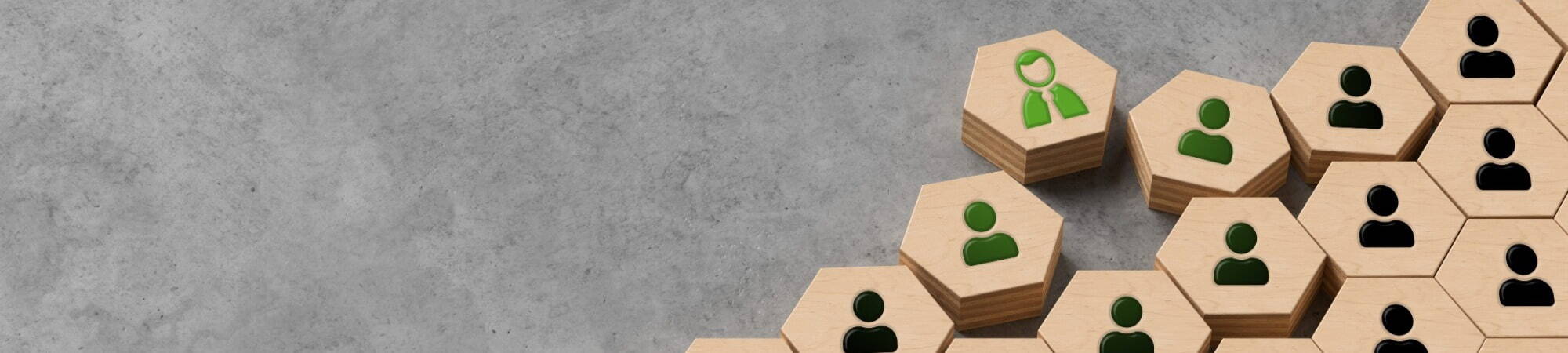 Image 2024 11 19 T13 41 59